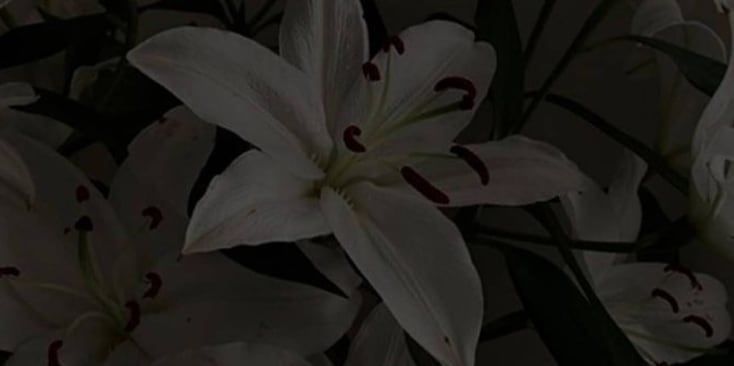 Bannerbild von YAV3H Sänger*in aus Essen