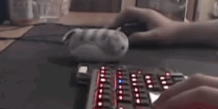 Bannerbild von Tizen Schlagzeuger aus Forst Bannerbild von Tizen Schlagzeuger aus Forst