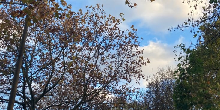 Bannerbild von Ness Larsen Songwriter*in aus Berlin