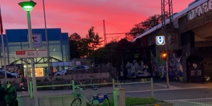 Bannerbild von David Feiter Gitarrist aus Düsseldorf