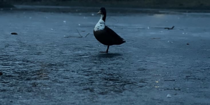 Seo.images.profile.banner.name-category-city