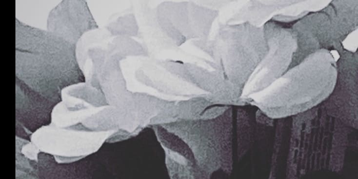 Seo.images.profile.banner.name-category-city