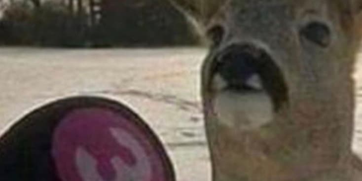 Seo.images.profile.banner.name-category-city Seo.images.profile.banner.name-category-city