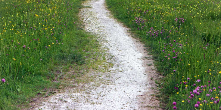 Bannerbild von Holger Platzöder Keyboarder aus Prichsenstadt