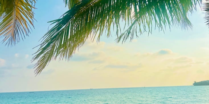 Bannerbild von Nicole Konzertveranstalterin aus Bremen Bannerbild von Nicole Konzertveranstalterin aus Bremen