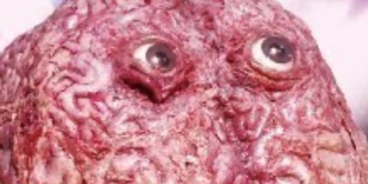 Seo.images.profile.banner.name-category-city