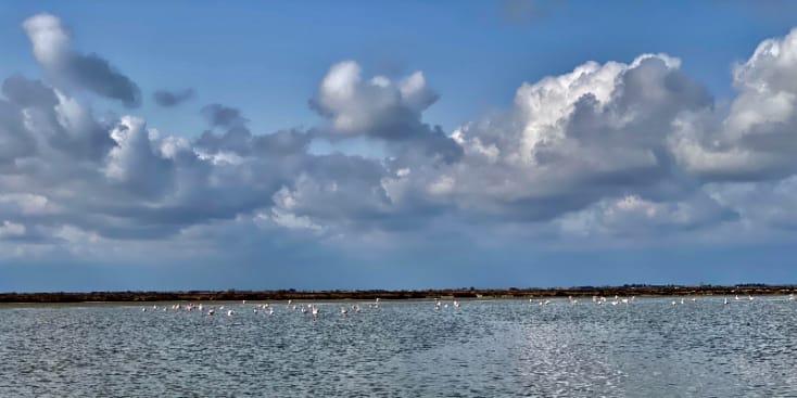 Bannerbild von Sebas Gitarrist aus Potsdam Bannerbild von Sebas Gitarrist aus Potsdam