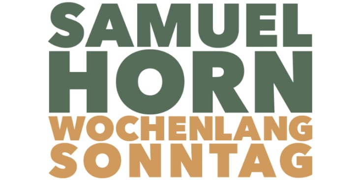 Bannerbild von Samuel Horn Gitarrist aus Köln Bannerbild von Samuel Horn Gitarrist aus Köln