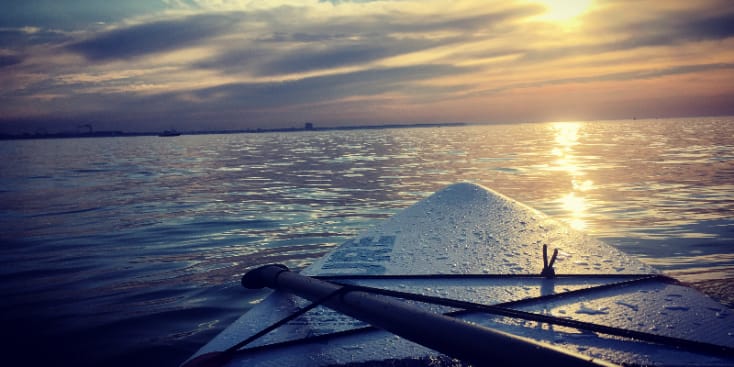 Bannerbild von Niko Musikpromoter aus Schlüchtern