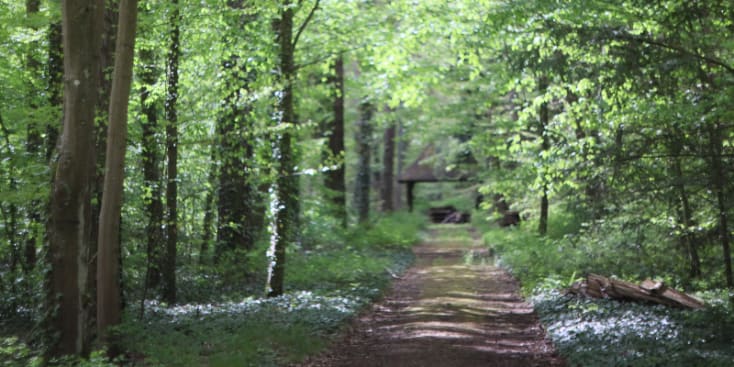 Bannerbild von Amtoms Gitarrist aus Potsdam