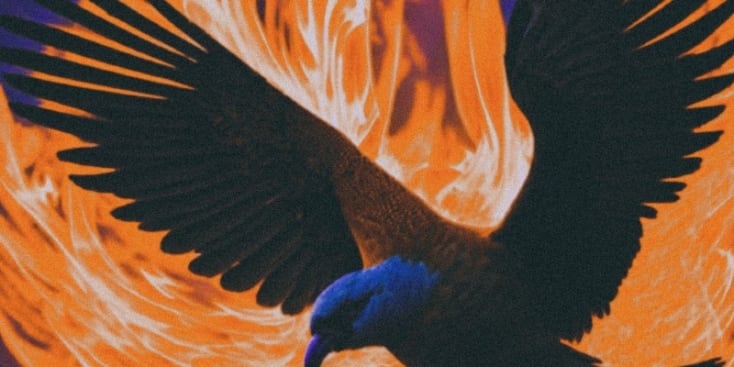 Seo.images.profile.banner.name-category-city