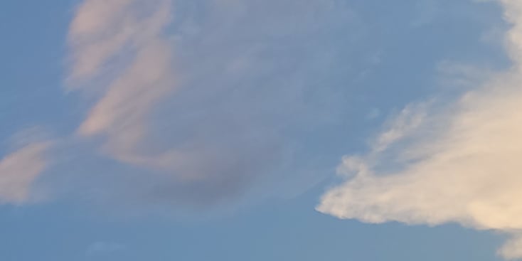 Bannerbild von annelie pilz Sängerin aus Hohenweiler