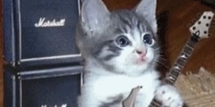 Bannerbild von Prod. By Birdo Musikproduzent aus Aschaffenburg