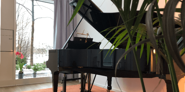 Bannerbild von Laura Feldmann Pianistin aus Hamburg