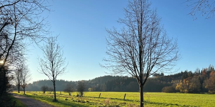 Bannerbild von Süleyman Gitarrist aus Olching