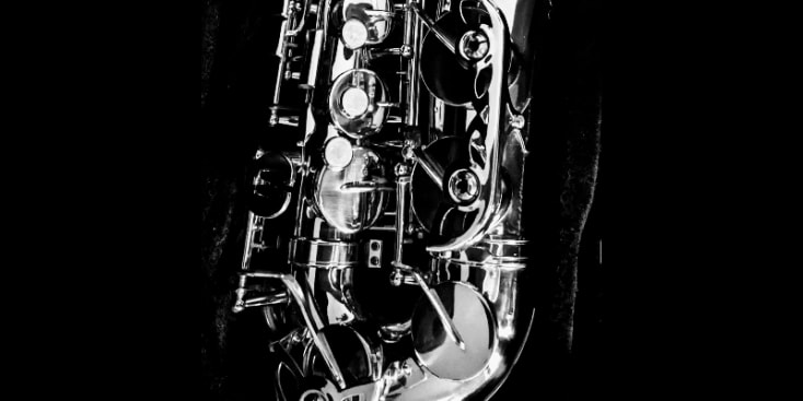 Bannerbild von SaxTheRipper Saxophonist aus Weyhe