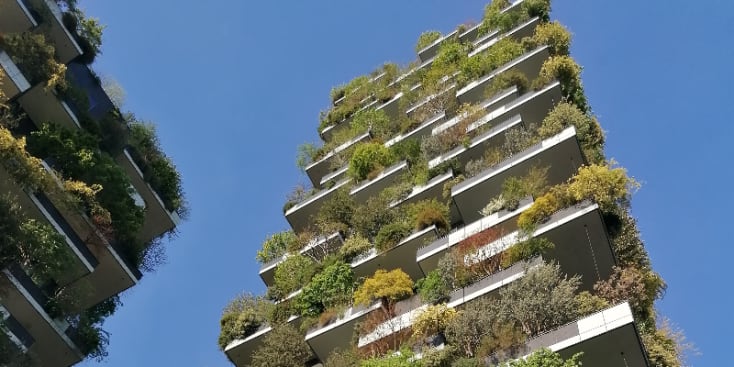 Bannerbild von Simi Gitarrist*in aus Luzern