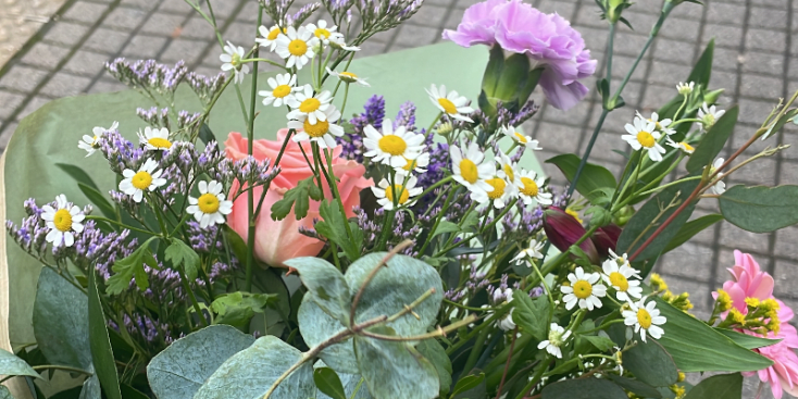 Bannerbild von mia lotta Singer-Songwriterin aus Köln