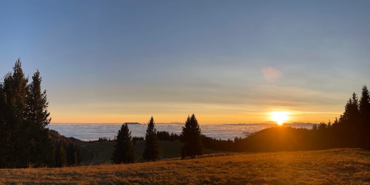 Seo.images.profile.banner.name-category-city