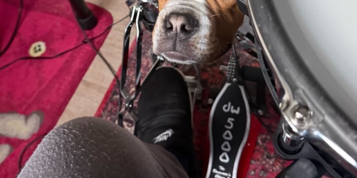 Bannerbild von Ramin Abtin Schlagzeuger aus Pforzheim