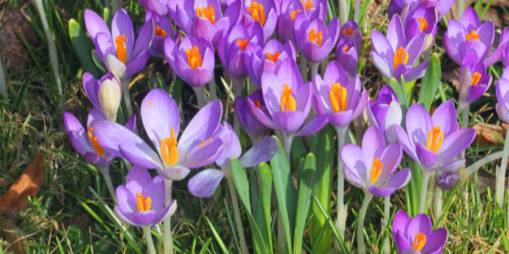 Bannerbild von Rainer Schotte Künstler aus Bielefeld