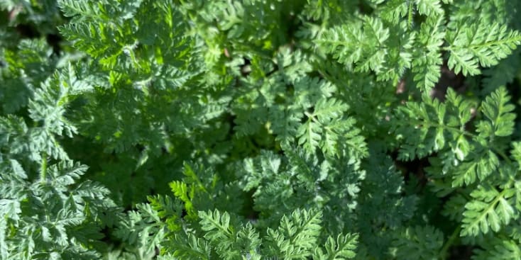 Bannerbild von Felix Schaum Gitarrist*in aus Hennigsdorf Bannerbild von Felix Schaum Gitarrist*in aus Hennigsdorf