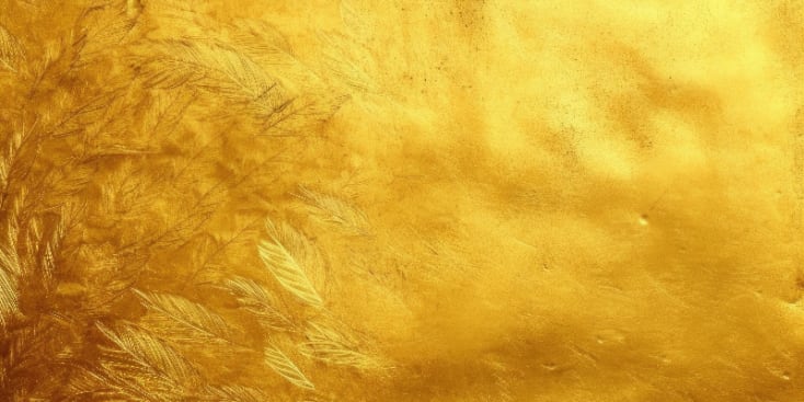 Bannerbild von WTTC Band aus Augsburg