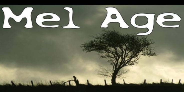 Bannerbild von Dirk Frahm Gitarrist aus Wahlstedt