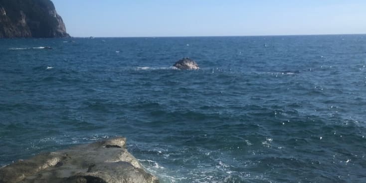 Bannerbild von Ricarda Sängerin aus Köln