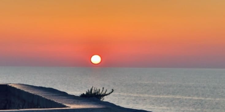 Bannerbild von Flavia Sängerin aus Frankfurt am Main