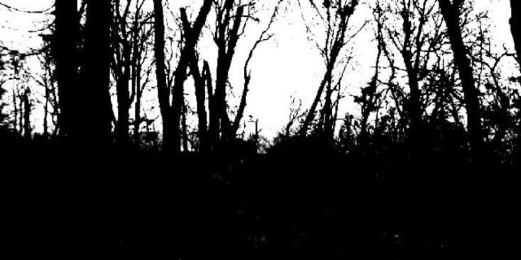 Bannerbild von Sascha Gitarrist aus Krefeld