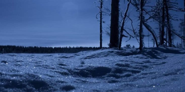 Bannerbild von Morgan Singer-Songwriterin aus Lübeck