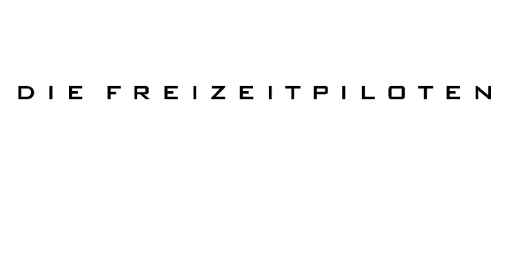 Bannerbild von FREIZEITPILOTEN Band aus Bad Berka