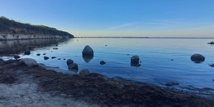 Bannerbild von Sarah Sahara Gitarristin aus Warnow