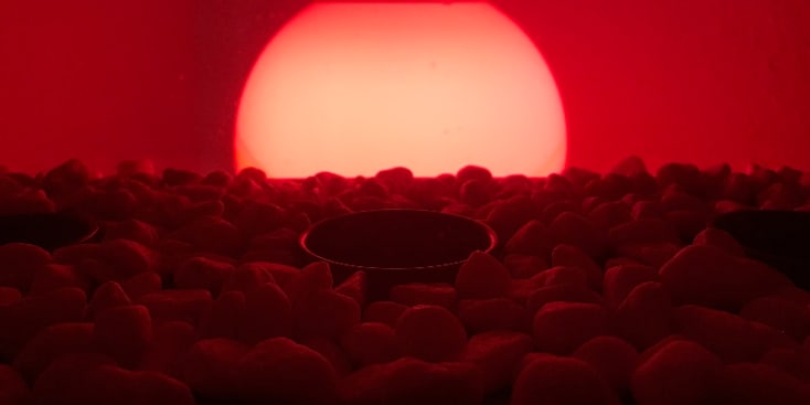 Bannerbild von Manfred Frerichs Schlagzeuger aus Wilhelmshaven