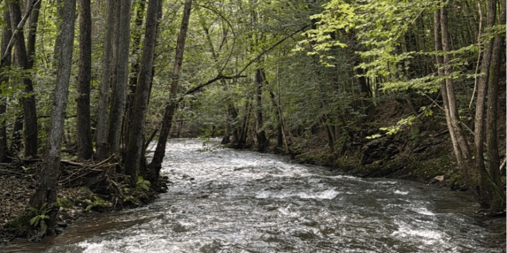 Bannerbild von Henrik Gitarrist aus Trier