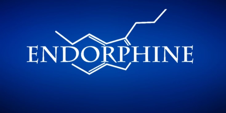 Bannerbild von Endorphine Band aus Büttelborn