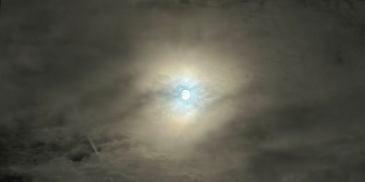 Bannerbild von Ric Sänger aus Lauda-Königshofen