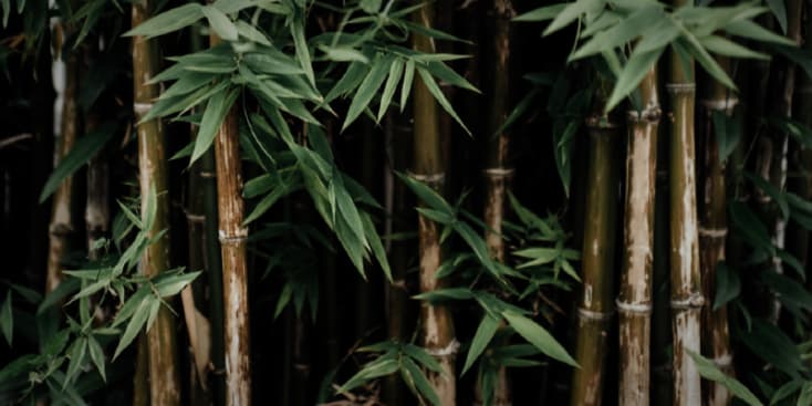 Profilbanner von oni_sakaro - Musikproduzent aus Frankfurt am Main