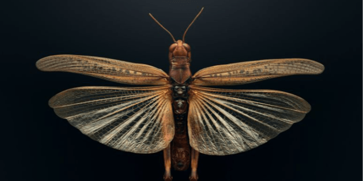 Bannerbild von Cea Sängerin aus Hannover Bannerbild von Cea Sängerin aus Hannover