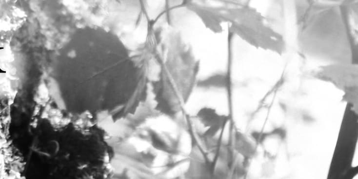 Seo.images.profile.banner.name-category-city