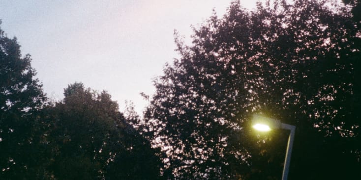 Bannerbild von Nikki Singer-Songwriter*in aus Wien