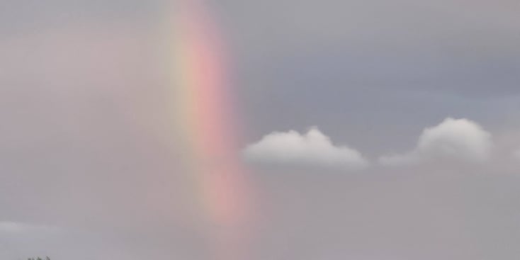Bannerbild von Julia Johnston Sängerin aus Unna Bannerbild von Julia Johnston Sängerin aus Unna