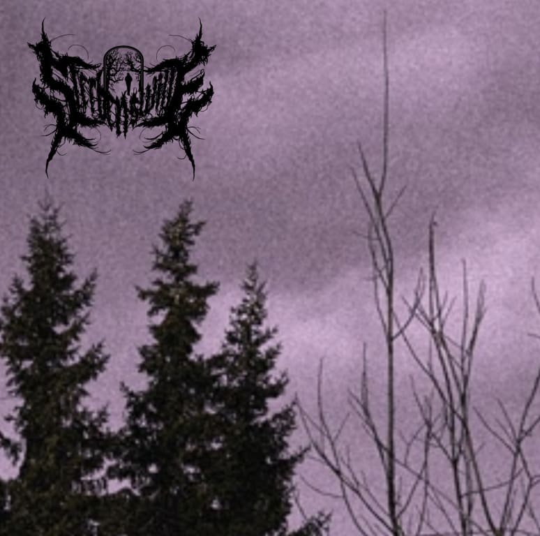 Galeriebild von Sterbenswille - Band aus Garching an der Alz