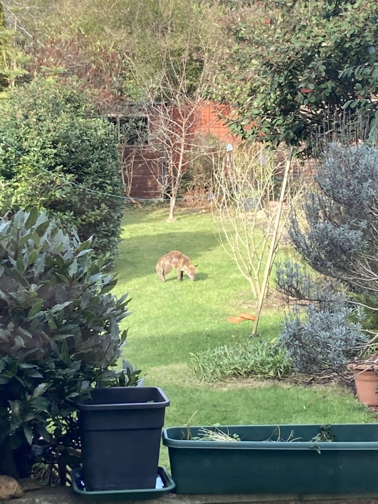 Galeriebild von Christoph - Songwriter*in aus Berlin