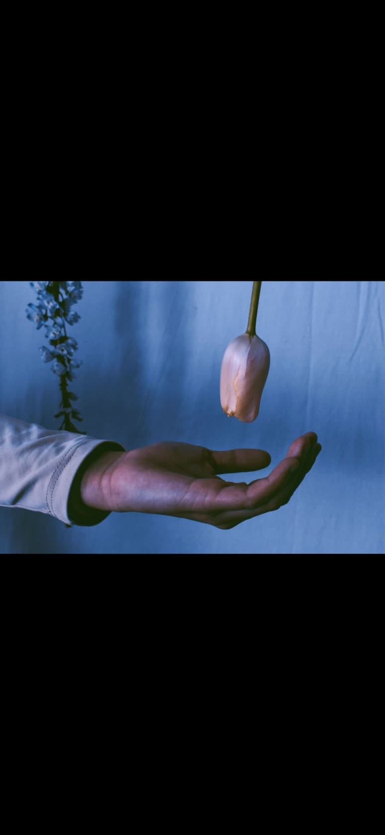 Galeriebild von Lara Correll - Sänger*in aus Köln