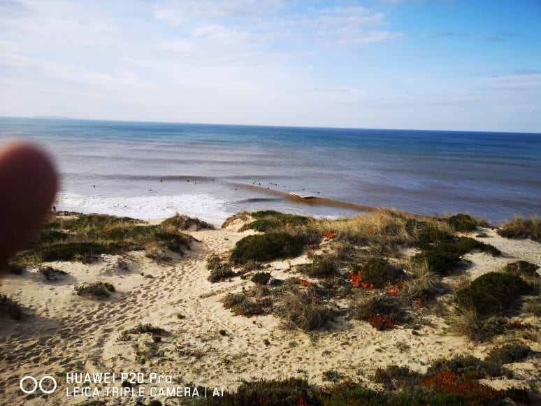 Gabriel Hariom - Künstler*in aus Plauen Galeriebild von Gabriel Hariom - Künstler*in aus Plauen