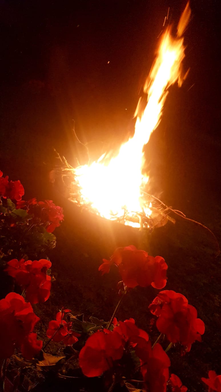 Galeriebild von Elions Tree - Instrumentalist*in aus 