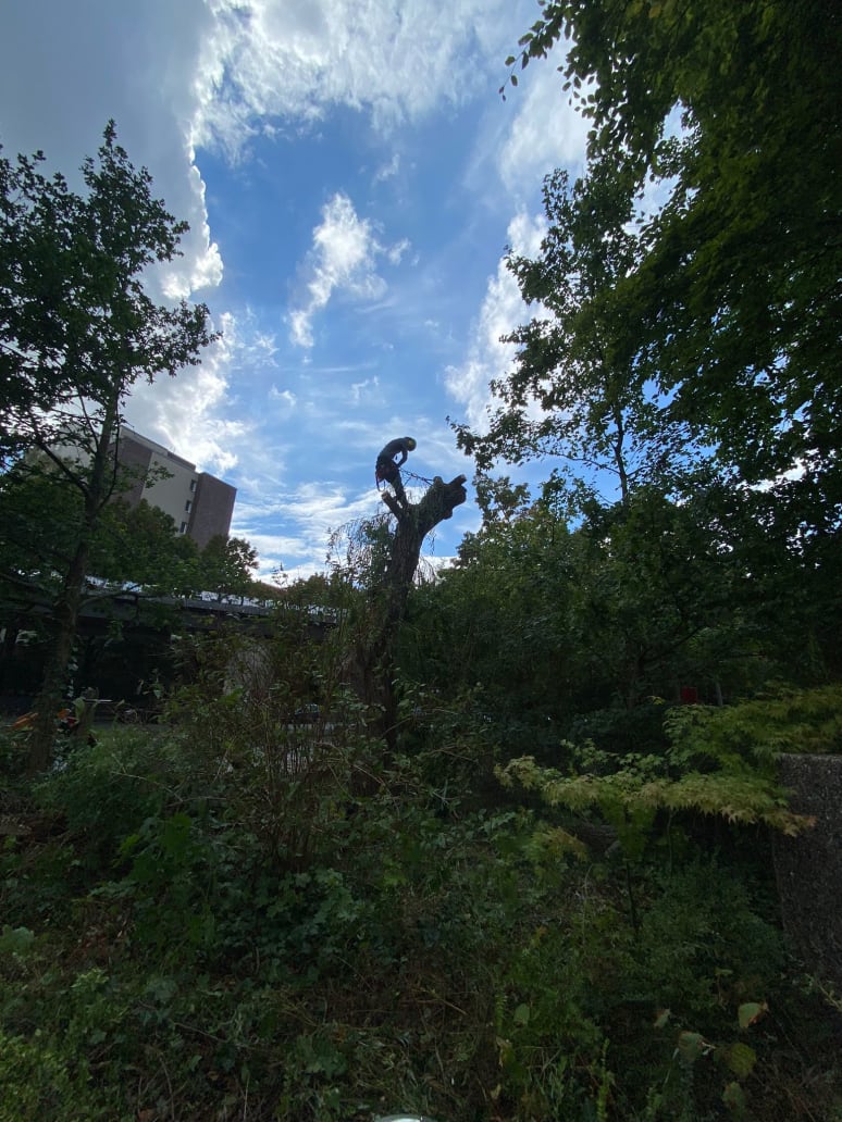 Raoul Moritz Karim Rumbke - Schlagzeuger*in aus Hamburg Galeriebild von Raoul Moritz Karim Rumbke - Schlagzeuger*in aus Hamburg