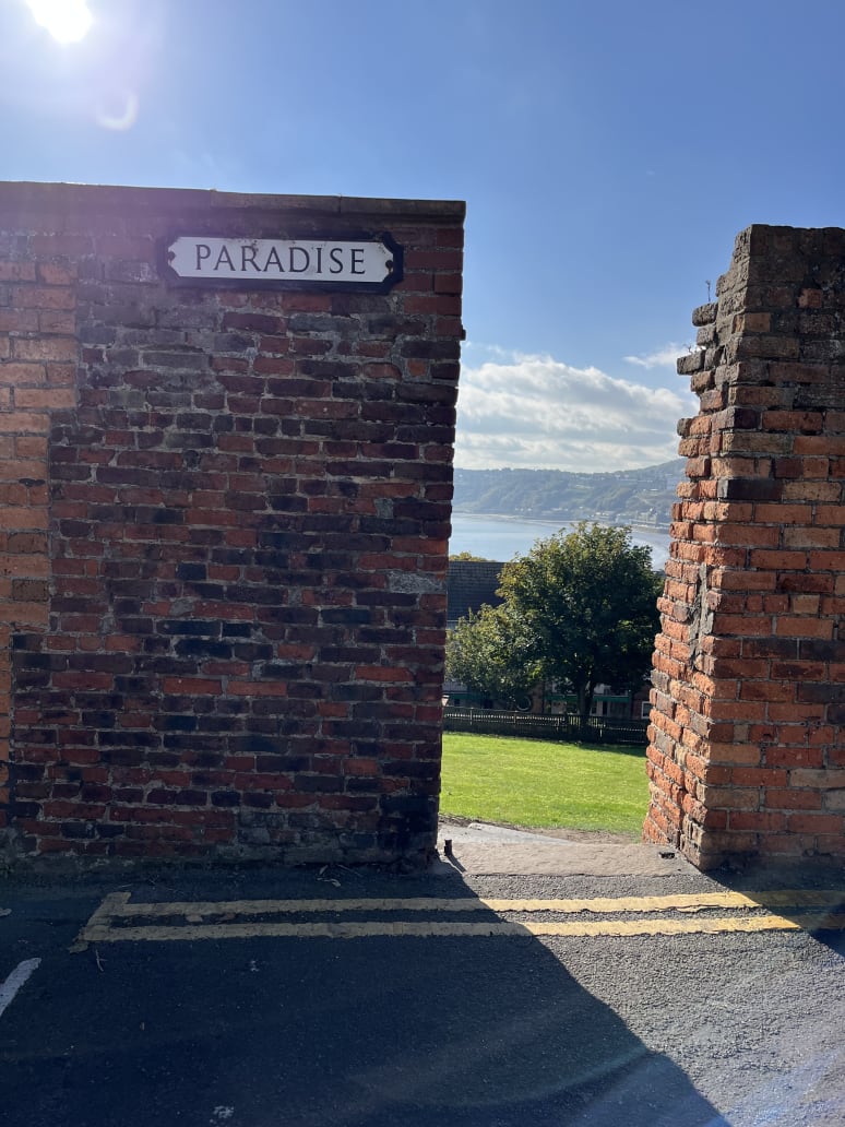 Galeriebild von Torsten - Geiger aus Arnsberg